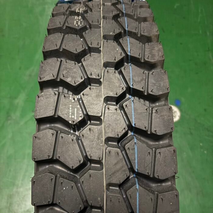的第二張圖片559