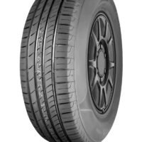 c655ceafbe10d4e0cc66f441e81ddb62